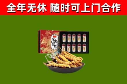 台安回收冬虫夏草价格